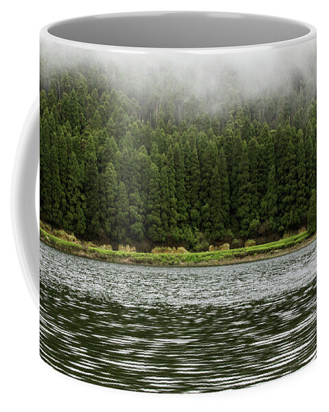Trees Coffee Mug featuring the photograph Misty Trees by Denise Kopko