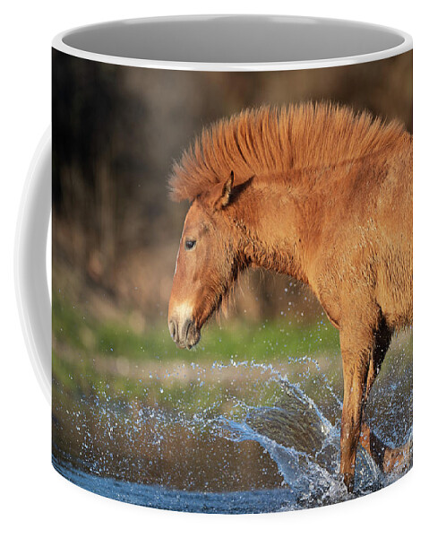Salt River Wild Horse Coffee Mug featuring the photograph Mohawk by Shannon Hastings