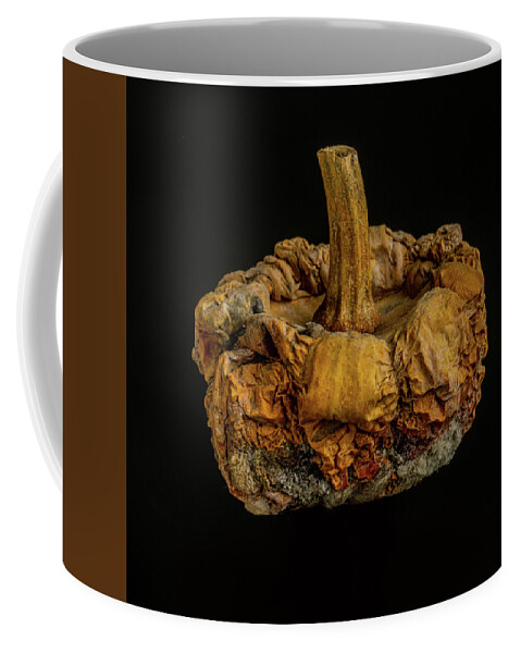 Rotten Coffee Mug featuring the photograph Moldy Gourd by Paul Freidlund