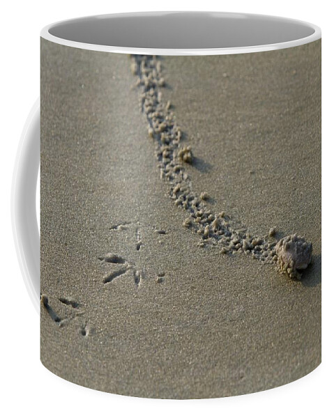Beach Coffee Mug featuring the photograph Mole Crab on the Move by Liza Eckardt