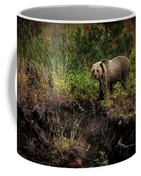 Landscape Coffee Mug featuring the photograph Moma Bear on North Fork by Craig J Satterlee