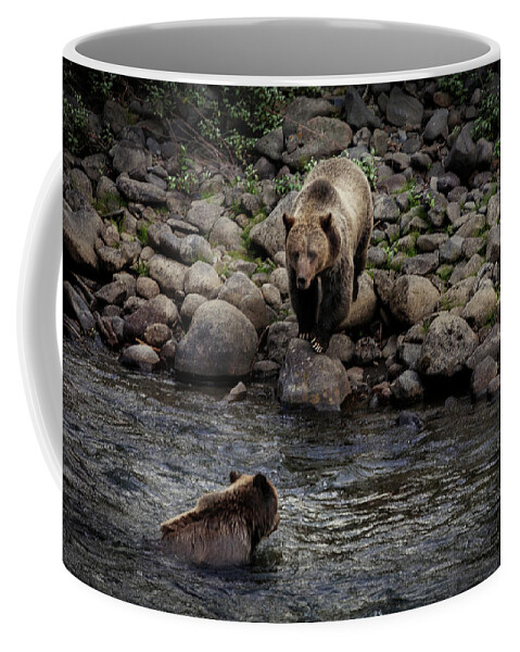 Grizzly Coffee Mug featuring the photograph Moma Bear Scolding Baby Bear by Craig J Satterlee