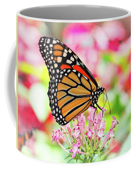 Butterfly Coffee Mug featuring the photograph Monarch Butterfly 006 by James C Richardson