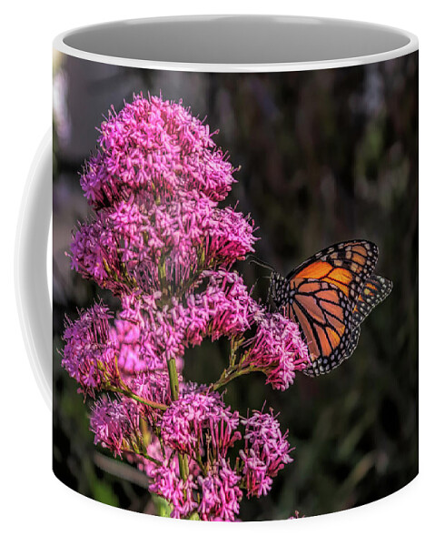 Monarch Coffee Mug featuring the photograph Monarch Butterfly by Alison Frank