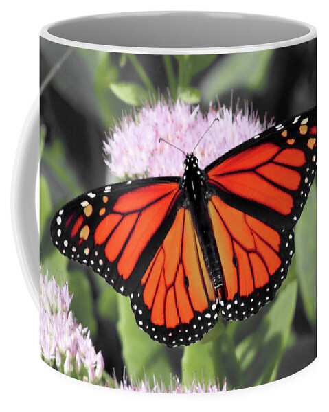 Monarch Coffee Mug featuring the photograph Monarch Butterfly on a PInk Flower photograph by Christopher Reed