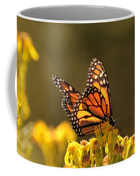  Coffee Mug featuring the photograph monarch butterfly III by Dr Janine Williams