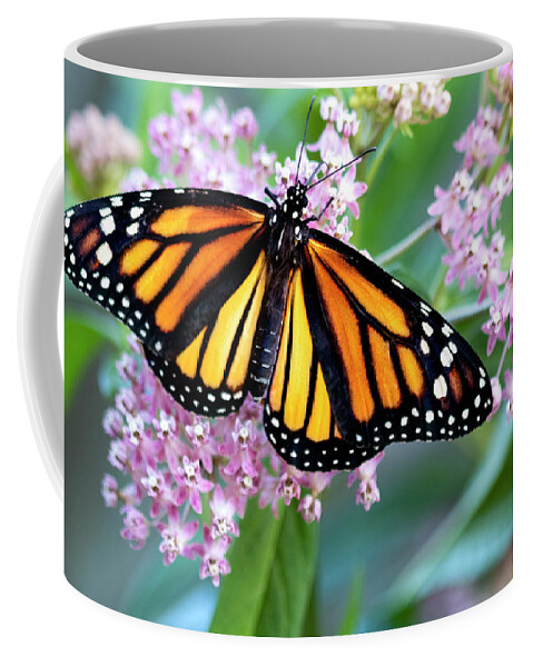 Monarch Coffee Mug featuring the photograph Monarch Butterfly on Milkweed by Patty Colabuono