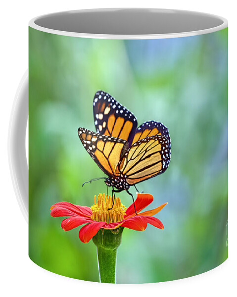 Bugs Coffee Mug featuring the photograph Monarch Feeding Frenzy by Judy Kay