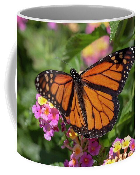 Flower Coffee Mug featuring the photograph Monarch on Lantana by Dawn Cavalieri