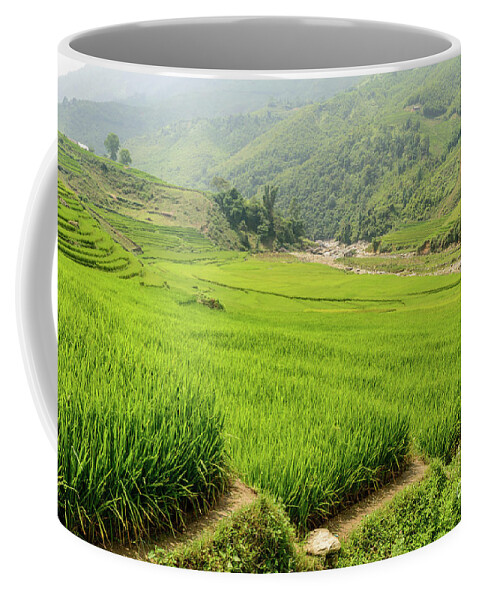 Vietnam Coffee Mug featuring the photograph MongHoa Valley 4 by Werner Padarin