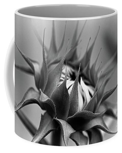 Monochrome Coffee Mug featuring the photograph Monochrome 564 by Fine art photographer Julie