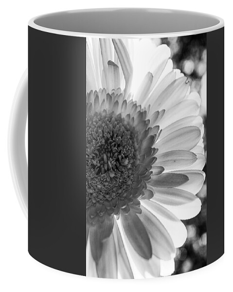 Texas Coffee Mug featuring the photograph Monochrome Daisy by W Craig Photography
