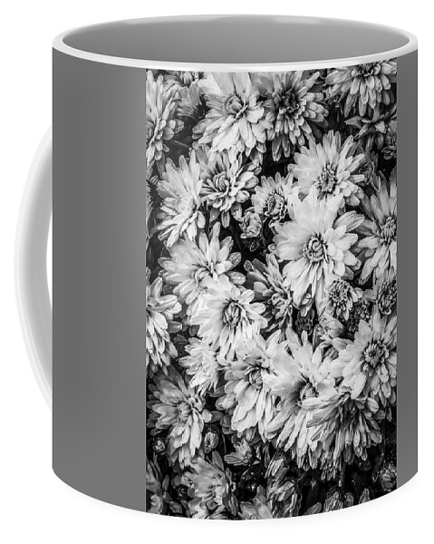 Monochrome Chrysanthemums Coffee Mug featuring the photograph Monochrome Mums by Cate Franklyn