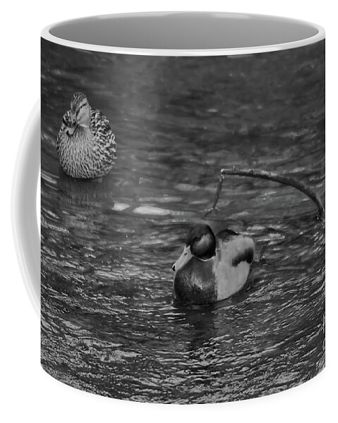 Monochrome Coffee Mug featuring the photograph Monochrome of a male and female Mallard duck by Pics By Tony