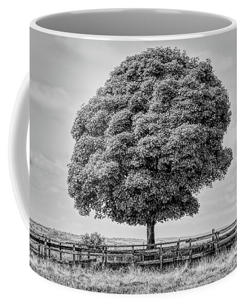 Monochrome Coffee Mug featuring the photograph Monochrome tree in Heywood Gtr Manchester, UK by Pics By Tony