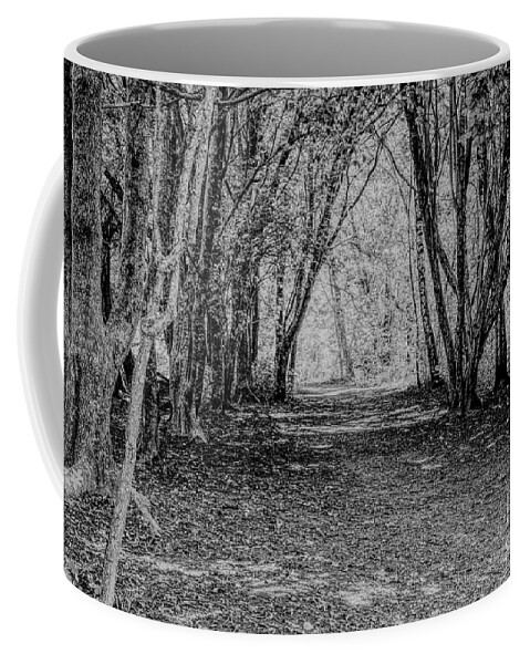 Monochrome Coffee Mug featuring the photograph Monochrome tree-lined path by Pics By Tony