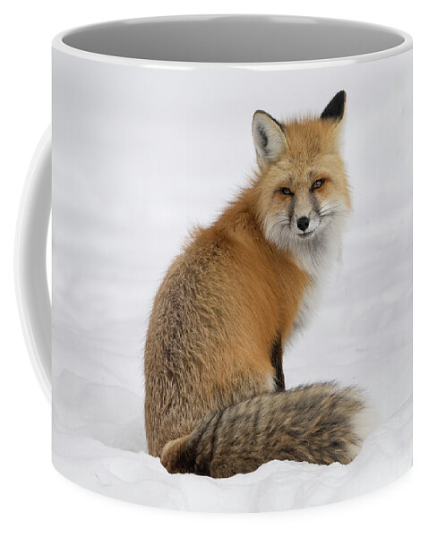 Fox Coffee Mug featuring the photograph Montana Fox by Julie Barrick