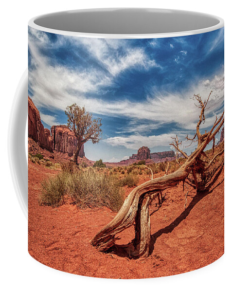 Plant Coffee Mug featuring the photograph Monument Valley 02 by Micah Offman