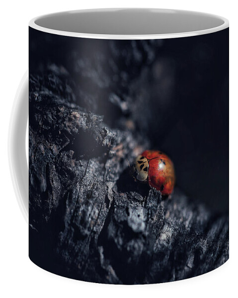 Mountain Coffee Mug featuring the photograph Moody Lady Bug by Go and Flow Photos