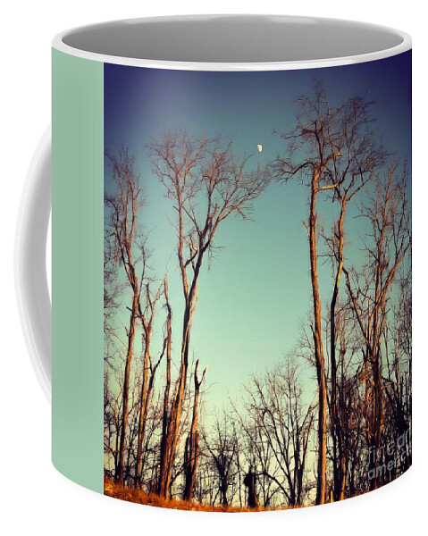 Moon Coffee Mug featuring the photograph Moon Between The Trees by Kerri Farley