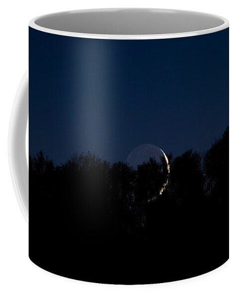 Photography Coffee Mug featuring the photograph Moon in the treetops. by Evan Foster