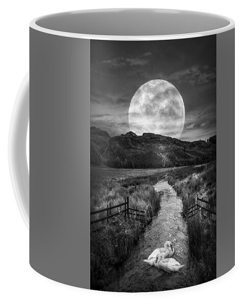 Birds Coffee Mug featuring the photograph Moonlight on the Swans II Black and White by Debra and Dave Vanderlaan