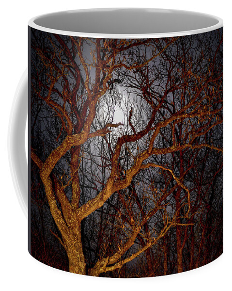 Full Moon Coffee Mug featuring the photograph Moonshine by Susie Loechler