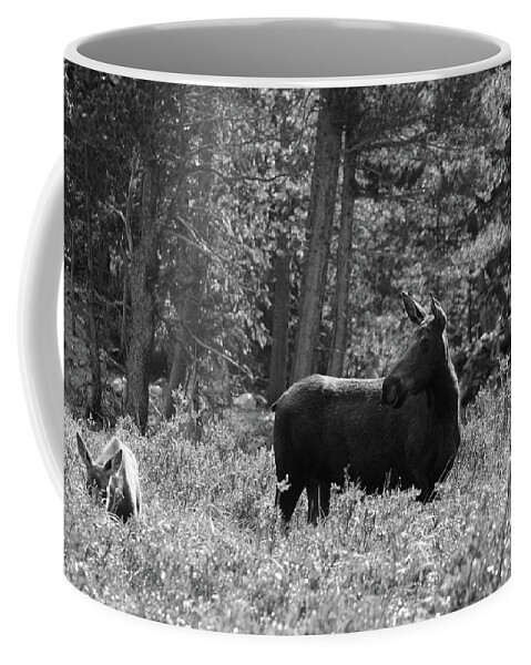 Photography Coffee Mug featuring the photograph Moose - Keeping Watch, Northern Colorado by Richard Porter