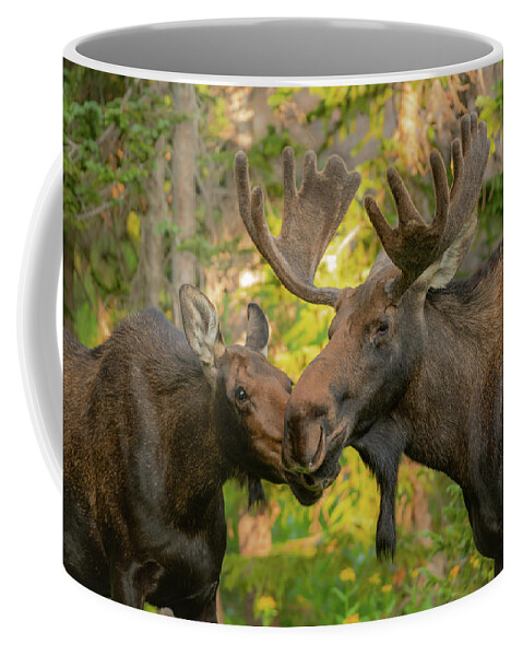 Moose Coffee Mug featuring the photograph Moose Kiss by Gary Kochel