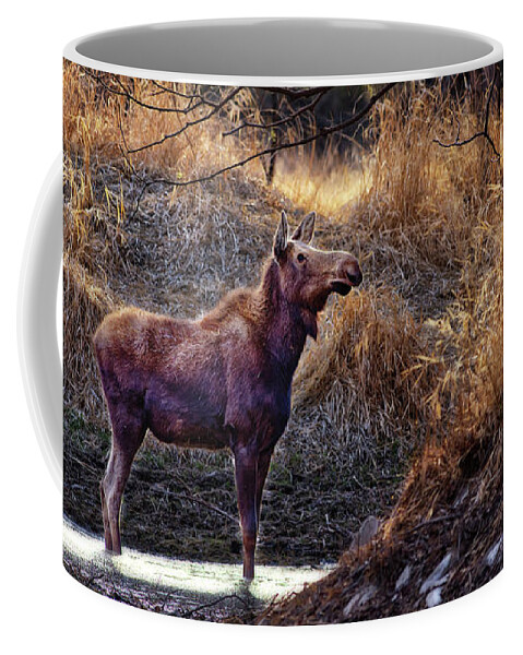 Moose Coffee Mug featuring the photograph Moosetopia - backlit cow moose enjoying North Dakota pond by Peter Herman