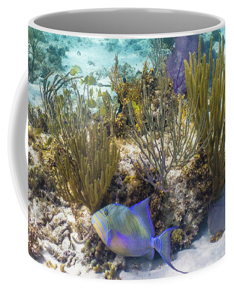 Animals Coffee Mug featuring the photograph More Royalty by Lynne Browne