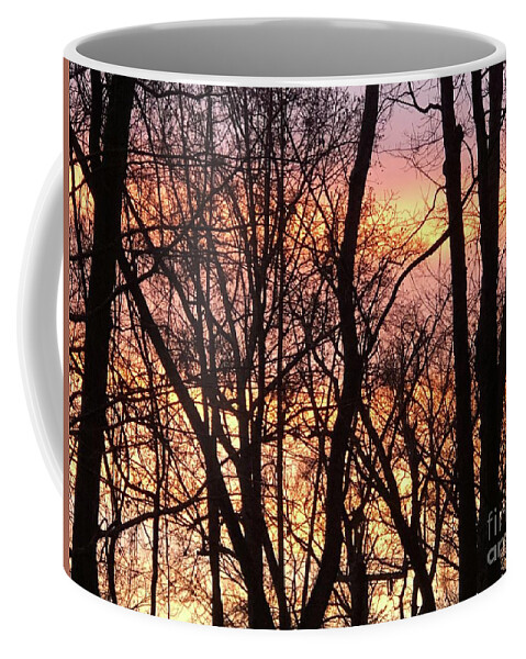 Sunrise Coffee Mug featuring the photograph Winter Flaming Sunrise 2 by J Hale Turner