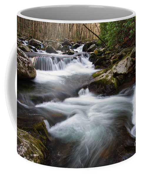 Tremont Coffee Mug featuring the photograph Morning Cascades by Phil Perkins