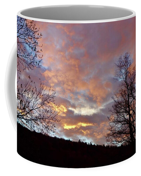 Dawn Coffee Mug featuring the photograph Morning Colors by Terry Cork
