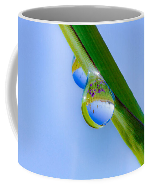 Morning Dew Coffee Mug featuring the photograph Morning Dew by Bj S