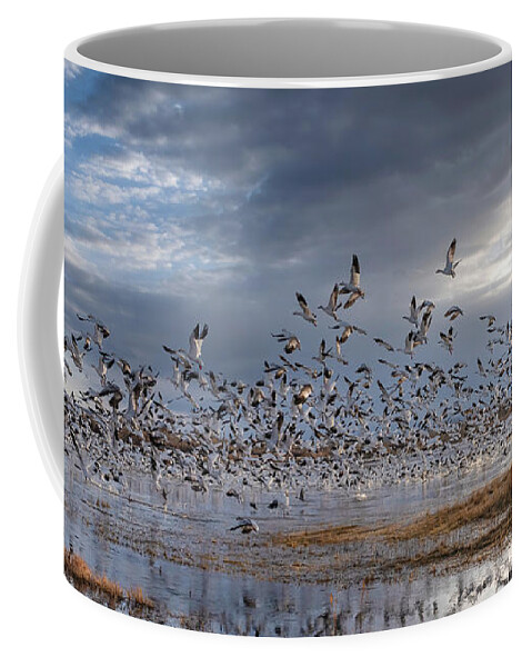 New Mexico Coffee Mug featuring the photograph Morning Flight. by Paul Martin