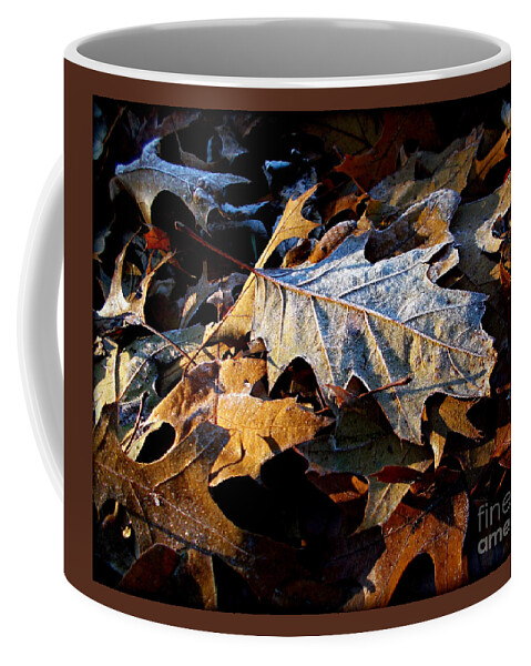 Nature Coffee Mug featuring the photograph Morning Frost Autumn Leaves by Frank J Casella