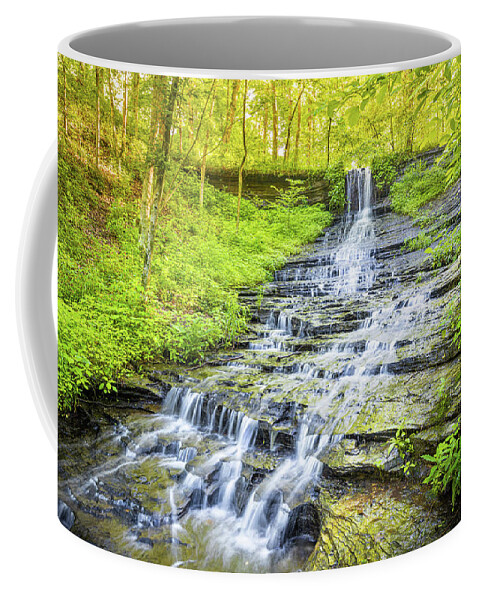 Fall Hollow Coffee Mug featuring the photograph Morning Glow by Jordan Hill