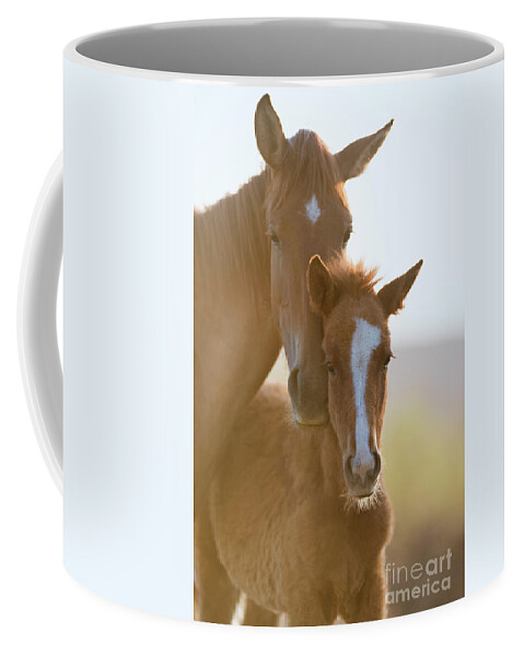 Cute Foal Coffee Mug featuring the photograph Morning Portrait by Shannon Hastings