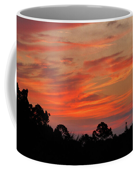 2020 Coffee Mug featuring the photograph Morning Show by Les Greenwood