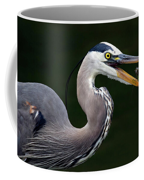 Bird Coffee Mug featuring the photograph Morning Snack by Art Cole