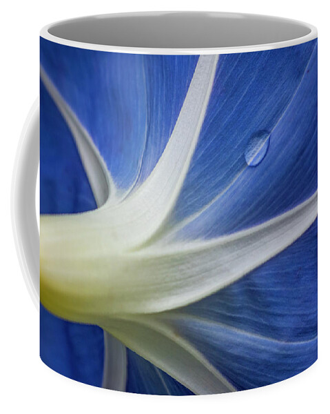 Morning Glory Coffee Mug featuring the photograph Morning Star by Jurgen Lorenzen