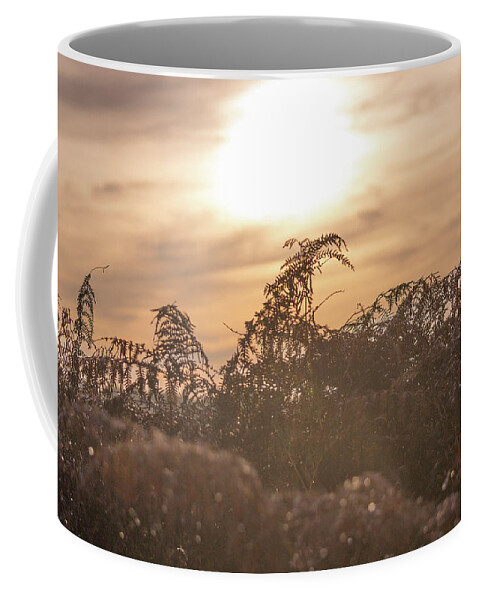 Morning Coffee Mug featuring the photograph Morning sunrise by Andrew Lalchan