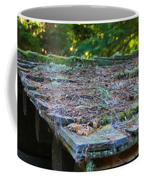 Fstop101 Forest Moss Pine Needs Abstract Nature Green Brown Coffee Mug featuring the photograph Moss and Pine Needles by Geno