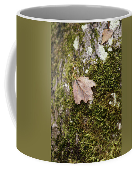  Coffee Mug featuring the photograph Moss Leaf by Heather E Harman