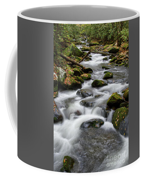 Middle Prong Trail Coffee Mug featuring the photograph Moss On Middle Prong 6 by Phil Perkins