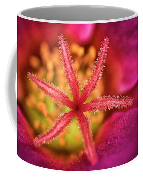 Flowers Coffee Mug featuring the photograph Moss Rose 2 by Robert Fawcett