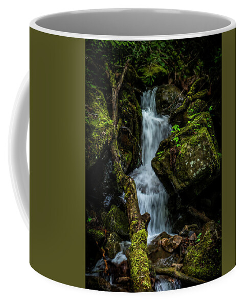Waterfall Coffee Mug featuring the photograph Mossy Waterfall by Lisa Lambert-Shank