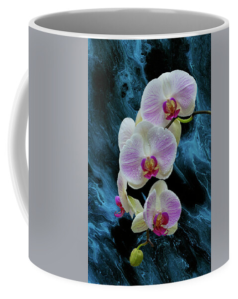 Moth Orchid Coffee Mug featuring the photograph Moth Orchids on Blue by Cate Franklyn