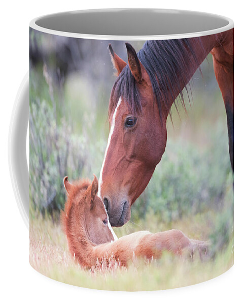 Cute Foal Coffee Mug featuring the photograph Mother's Love 2 by Shannon Hastings